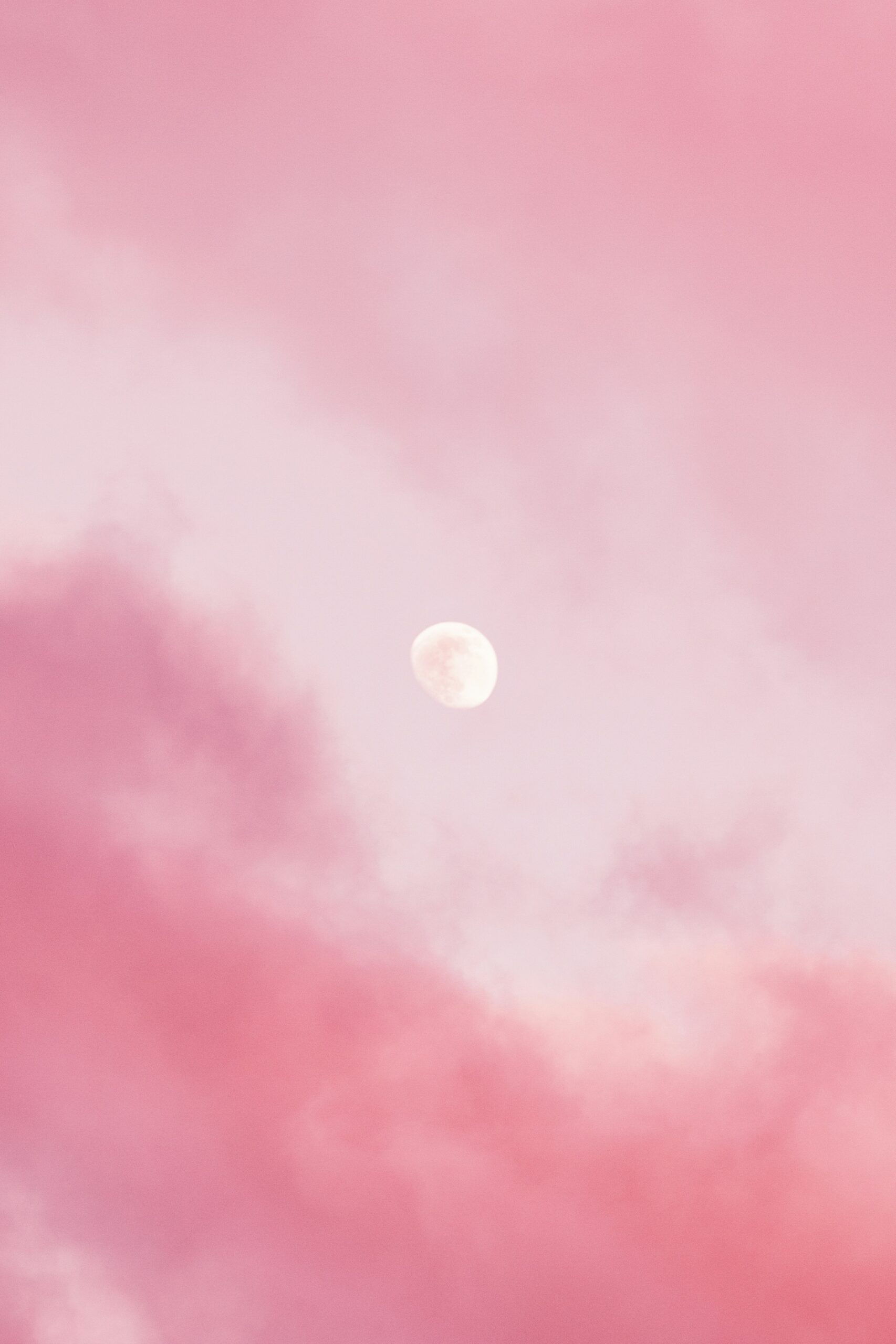 Program Image