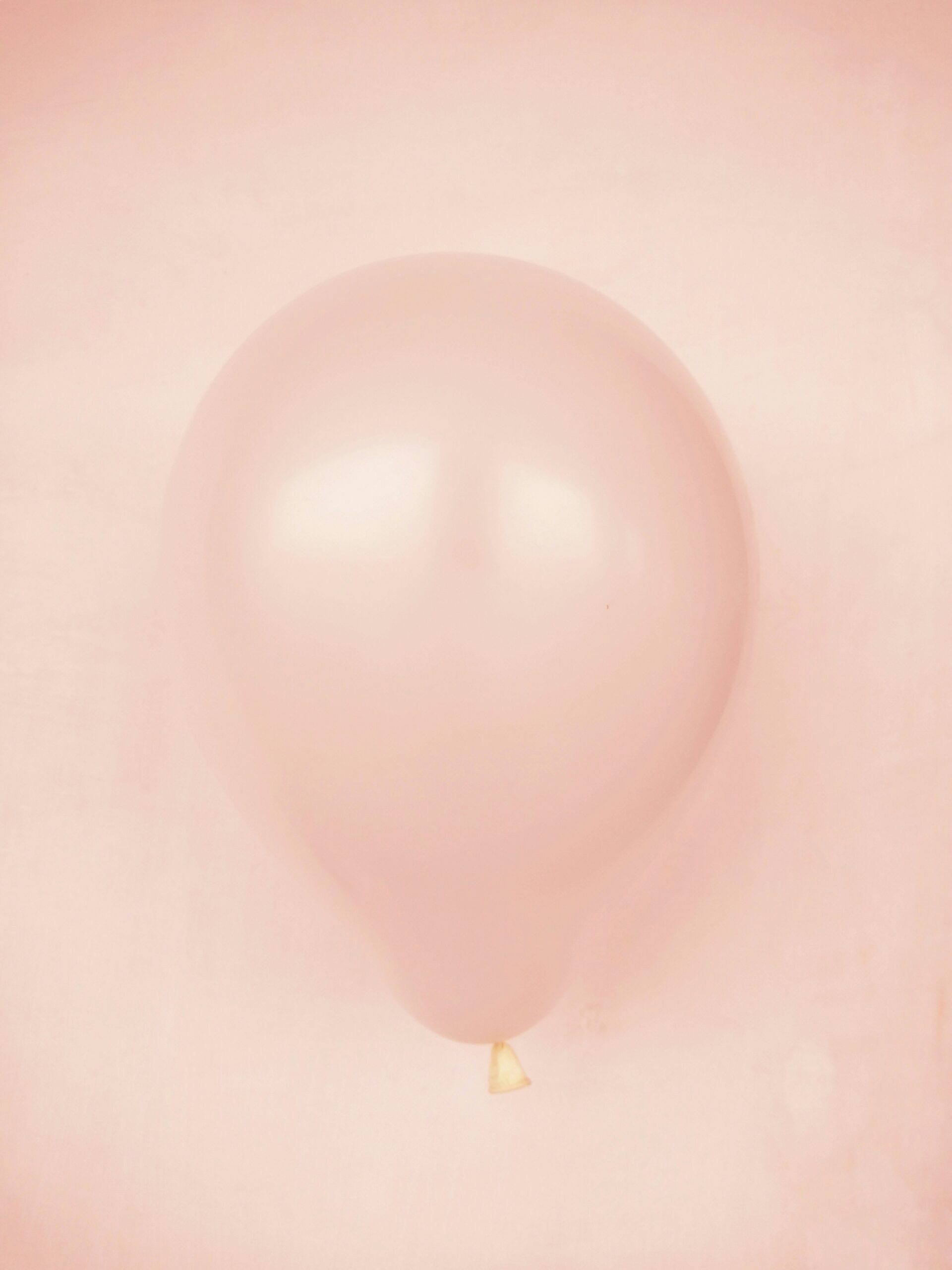 Program Image